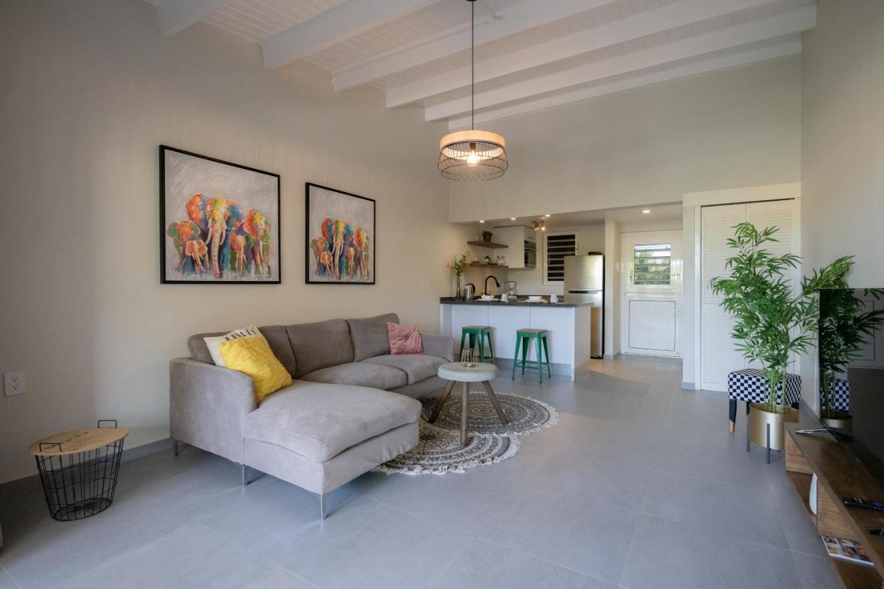 Casa Arte- Exclusive Apartment With Internet And Pool Santa Catharina Luaran gambar